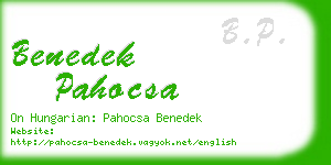 benedek pahocsa business card